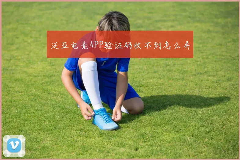 泛亚电竞APP验证码收不到怎么弄