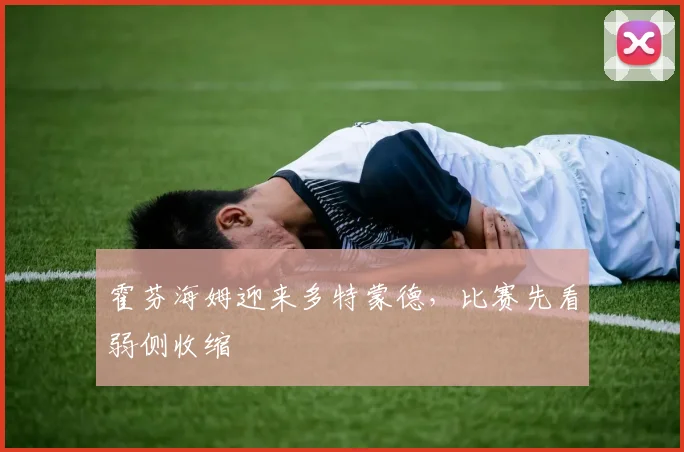 霍芬海姆迎来多特蒙德，比赛先看弱侧收缩