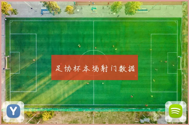 足协杯本场射门数据