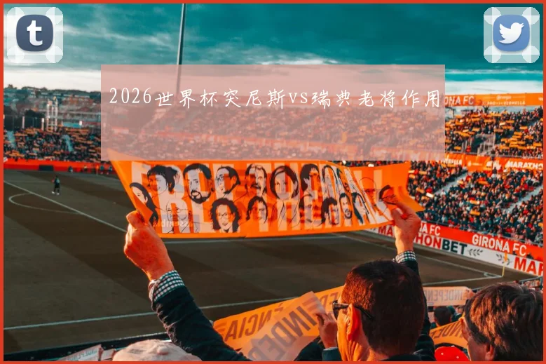 2026世界杯突尼斯vs瑞典老将作用