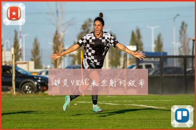 都灵vsAC米兰射门效率