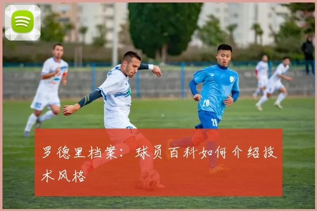 罗德里档案：球员百科如何介绍技术风格
